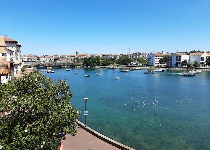 Apartment : T4 Spacieux Avec Balcon Et Veranda, Proche Golf - Fr-1-239-554 Ciboure